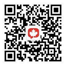 紅楓葉微信公眾號二維碼
