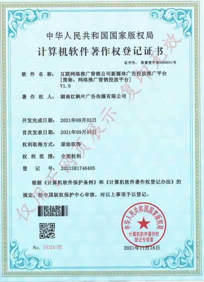 網(wǎng)絡(luò)推廣營銷投放平臺(tái)2021年.jpg